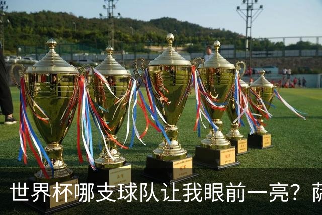 世界杯哪支球队让我眼前一亮？萨内蒂：日本和摩洛哥绝对是代表